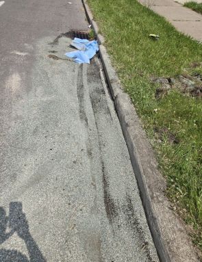 Environmental Spill Cleanup
